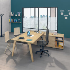 Bureau WOODY Manager