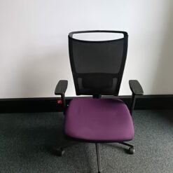 Majencia For All Violet