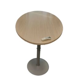 Table Ovale piètement tulipe
