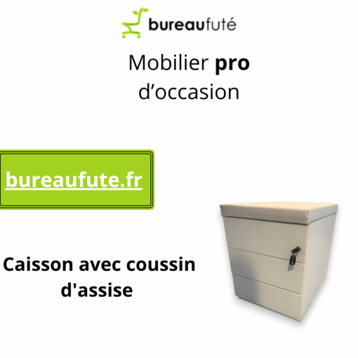 Caisson avec coussin d'assise