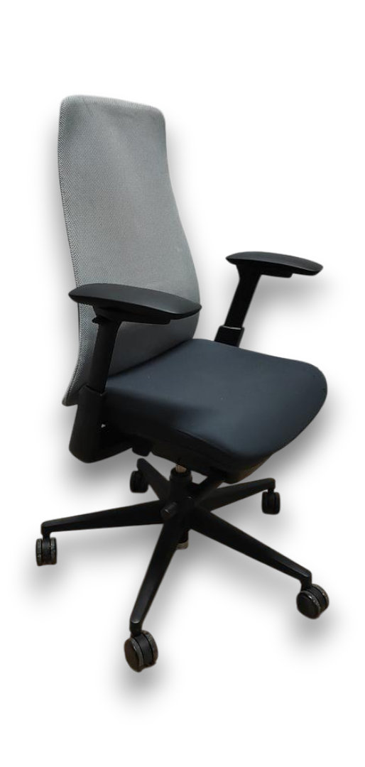 Fauteuil de bureau HAWORTH Fern – Gris anthracite / Gris clair Fauteuil de bureau HAWORTH Fern – Gris anthracite / Gris clair