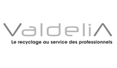 logo Valdelia